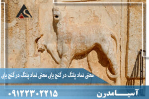 معنی نماد پلنگ در گنج یابی 