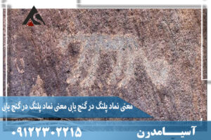 معنی نماد پلنگ در گنج یابی 